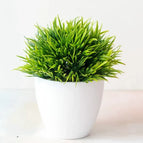 fengweicao green