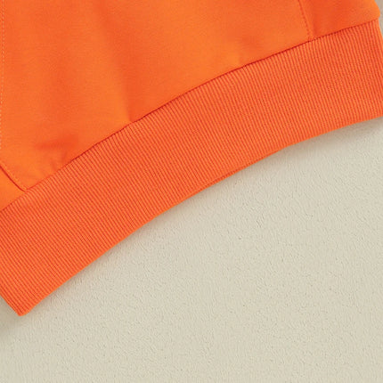 0-36M Infant Baby Hooded Sweatshirt Solid Color Long Sleeve Hoodie Pullovers For Toddler Boys And Girls Spring Fall Sweatshirt