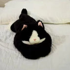 Cat / 65cm