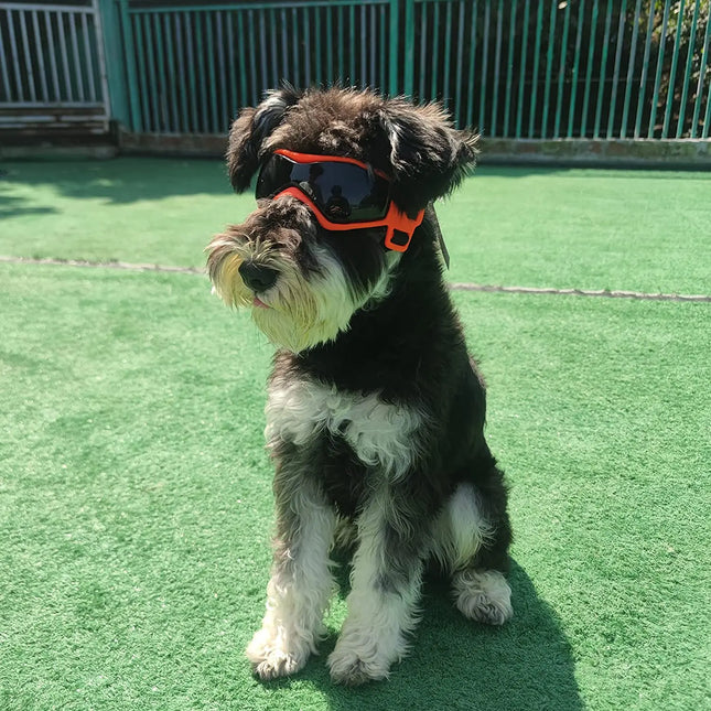 UV Protective Goggles for Dogs, Cat Sunglasses, Cool Protection Eyewear for Small Medium Dogs, Outdoor Riding Pet Accessories