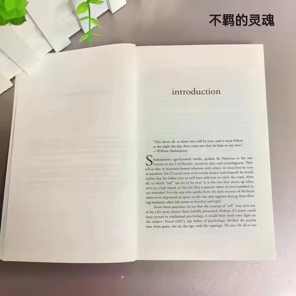 The Untethered Soul: The Journey Beyond Yourself | Spiritual Growth & Self-Improvement Book for Inner Exploration