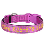 Violet / XL