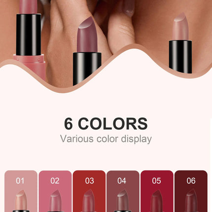 Matte Lipstick Set 6 Colors Velvet Texture Long Lasting Non Drying Lip Makeup Women Gift Box