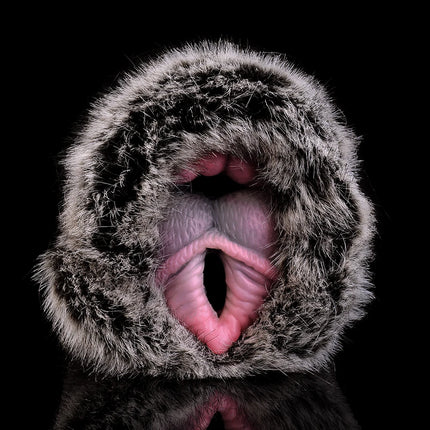 YOCY Realistic Dog Male Masturbator With Fur Penis Stroker Massager Lifelike Vagina Pocket Pussy Fetish Sex Toys For Adult Men