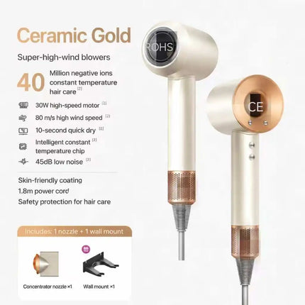 High-Speed Hair Dryer, 40 Million Negative Ions, Constant Temperature, Fast Drying, Low Noise, Professional Salon Blow Dryer with Nozzles