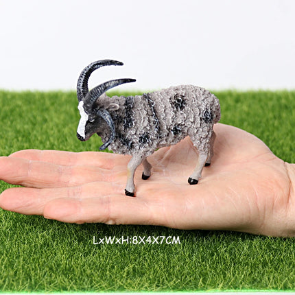 Realistic Farm Animal Shropshires Merino Sheep Goat Argali Antelope Gazella Waterbuck Model Figures Birthday Christmas Toys Gift