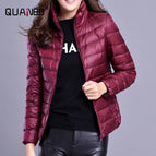 M / Winered