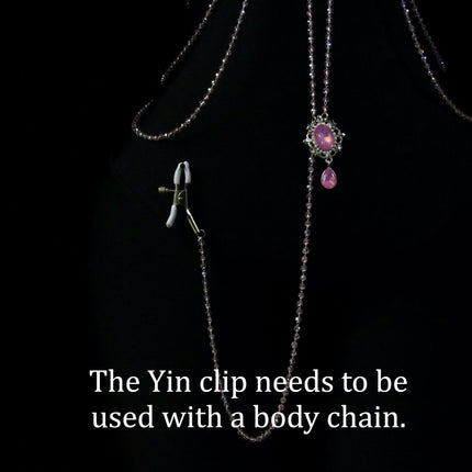 Pink Gemstone Necklace Nipple Clamps Erotic Tassel Body Chain 5 Sizes of Butt Plugs Chest Stimulation Integrated BDSM Restraint