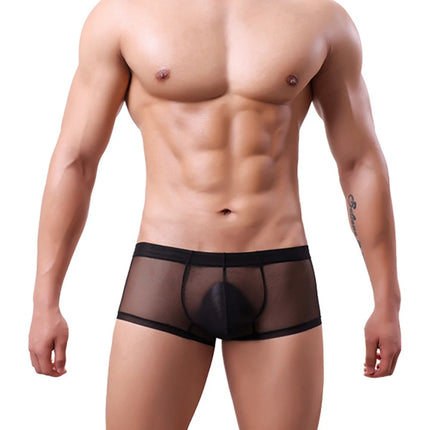 Men Transparent Boxers See Through Male Underpants Sexy Mid-Waist Panties Lingerie Intimates Summer Breathable Underwear