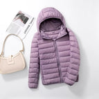 4XL / Light Purple