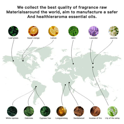 NAMSTE 100ML Perfume Fragrance Oil Essential Oil Electric Diffuser Room Home Aroma Diffuser Essential Oil air purifier Freshener
