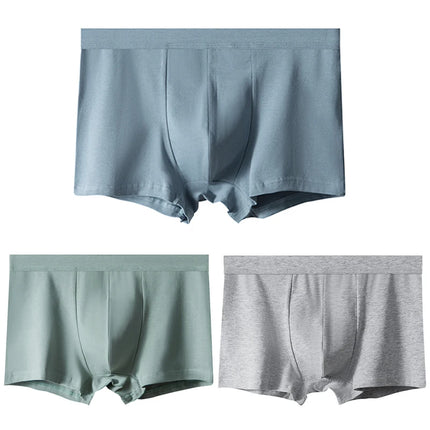 3pcs/lot 10XL Man Panties Breathable Cotton Underpants Summer Antibacterial Men's Underwear Male Panties Chubby Under Shorts