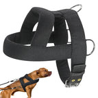 Harness / S
