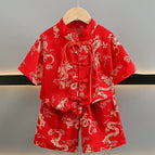 2-C0053 red / 120