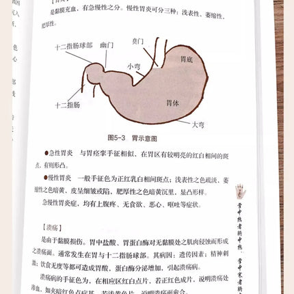 Face, Hand, and Tongue Consultations, Zero Foundation Self-study of Practical Chinese Medicine Books for Families