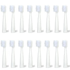 16white