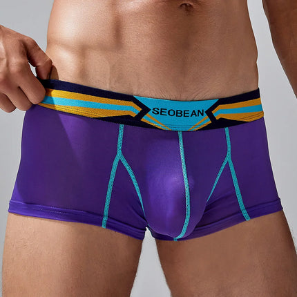 SEOBEAN Men's Sheer Boxer Briefs Nylon Low-Rise Underwear Lightweight Breathable Fashion Stylish Thin See-Through 230215 412114