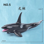 killer whale