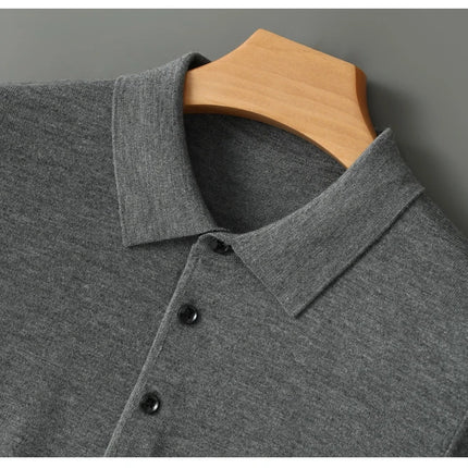 High quality worsted  spun collar wool sweater men's spring and autumn business polo sweater thin long sleeved knitted T-shirt