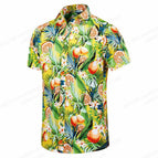 ASF5D2314115 / 3XL