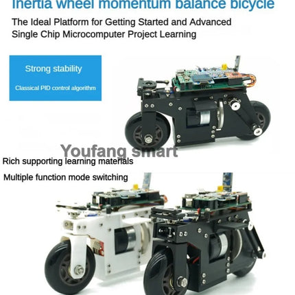 RC Tank 3D Printing Bike Cubli Balance Motorcycle APP Control 2WD Robotic Car for STM32 Programmable Robot Kit Robot Car Project