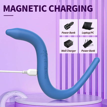 PelvicWand for Pelvic Floor Muscle Exercise Adult Fitness Training Personal Hygiene Health Care Equipment  NM