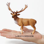 Caribou 1