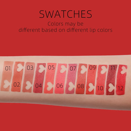 YOUNG VISION Matte Mist 12 Color Lipstick Velvet Non stick Cup Moisturizing Lipstick