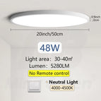 White-Neutral Light / Poland