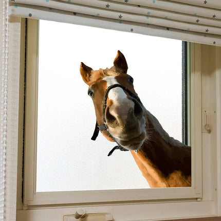Funny Horse Self-Adhesive Window Stickers, Bedroom Entryway Living Room Porch Home Decoration Wall Stickers, Removable Stickers