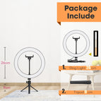 26cmLamp 9cm Stand