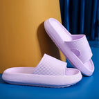 Purple / 42-43