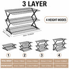 3 LAYER