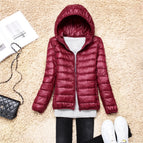 4XL / Wine red