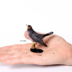 Cuckoo