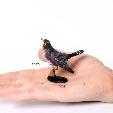 Simulation Bird Animal Kingfisher Robin Magpie Pigeon Hummingbird Model Action Figure Garden Decoration Miniature Figurines Toys