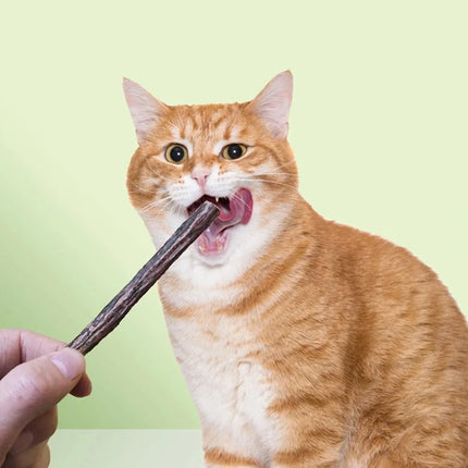 15pcs Natural Matatabi Cat Catnip Toy Kitten Molar Chew Stick Pet Cleaning Teeth Cat Treat Toy Actinidia Silvervine Pet Products