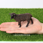 Black Sheep-1