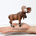Male Moose