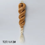 qGZF2602-T27M613 / 24inches