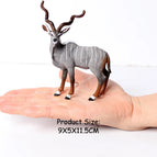 Antelope-6