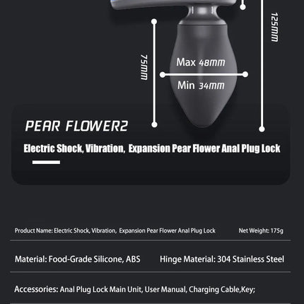 QIUI APP Remote Control Electric Shock Anal Plug Vibration Expansion Adjustable Diameter Butt Plug Lock Prostate Massage Sex Toy