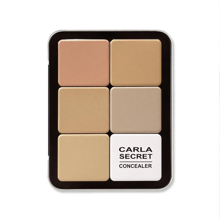 12 Colors Concealer Multi-Purpose Makeup Brightening Not Stuck Powder Contour and Highlighter Palette Bronzer Cream Palette