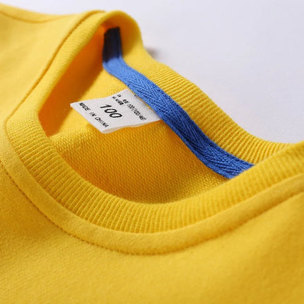Spring Children's Cotton sweatshirt Boy and Girl Casual Solid Plain Hoodies Tops 3-10 Years Kids Long Sleeve T-shirt Cltohes