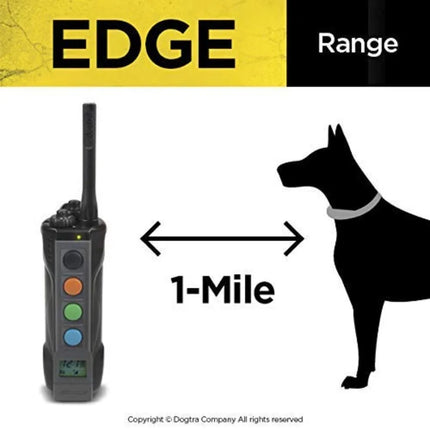 Professional outdoor training: waterproof nylon collar, black, 1-mile range with LED receiver and expandable 4-dog control