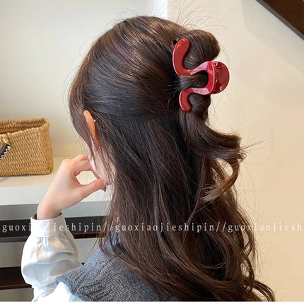 Simple Irregular Hair Catch Clip Shark Clip Women's Premium 2026 New Hairpin Back Head Hair Accessories Hairpin Elegant