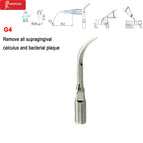 G4-1pc / China Mainland
