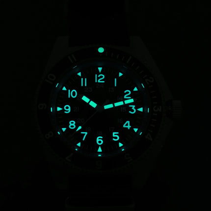 Watchdives WD1972 Quartz Watch VH31 Sweep Seconds Movement Sapphire Crystal BGW9 Luminous 20Bar Waterproof Vintage Men Watches