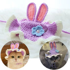 Bunny Ear / S