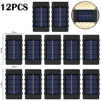 10LED-Warm 12PC / Solar